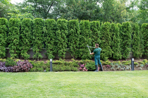 Lawn Irrigation Installation and Maintenance in Minerva, OH